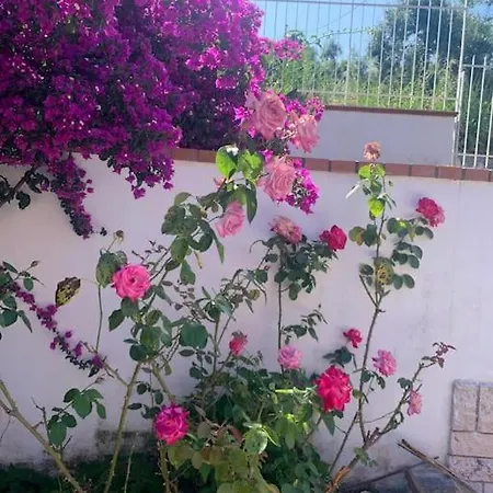 Bella Appartamento Diamante