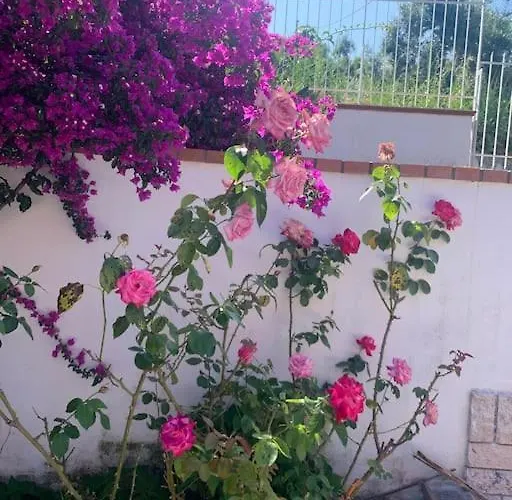 Bella Lägenhet Diamante